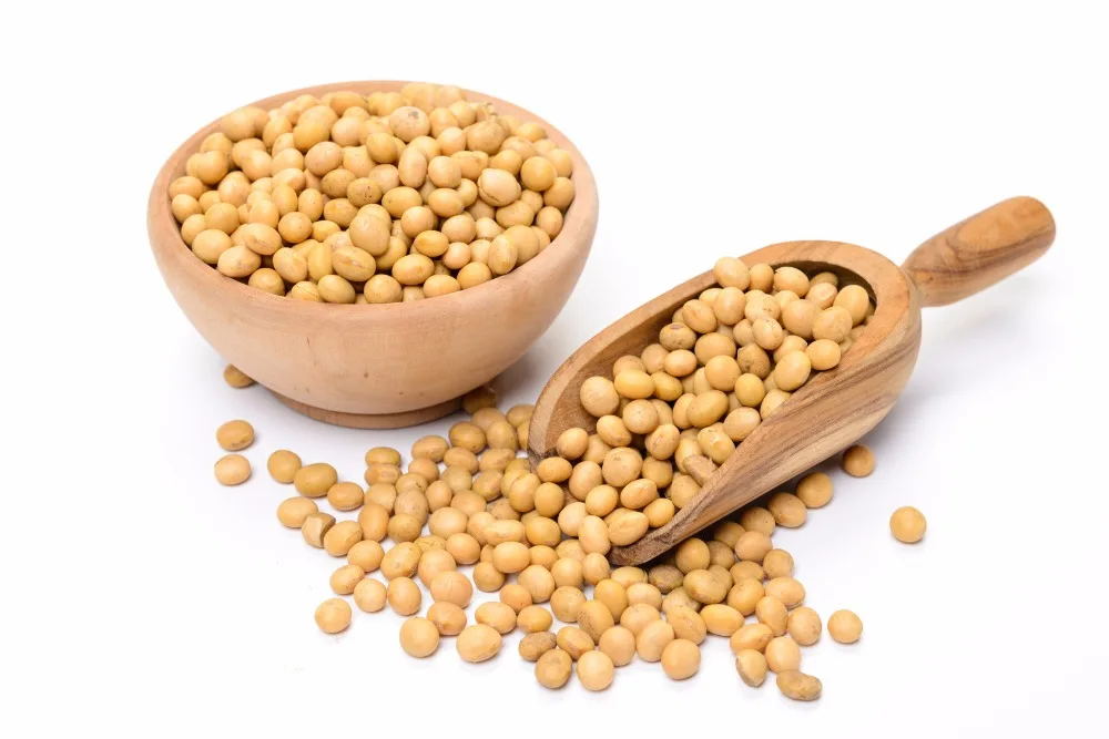 Image result for soy beans