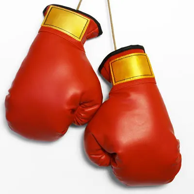 GLOVES-ILOVE-KICK-BOXING.jpg