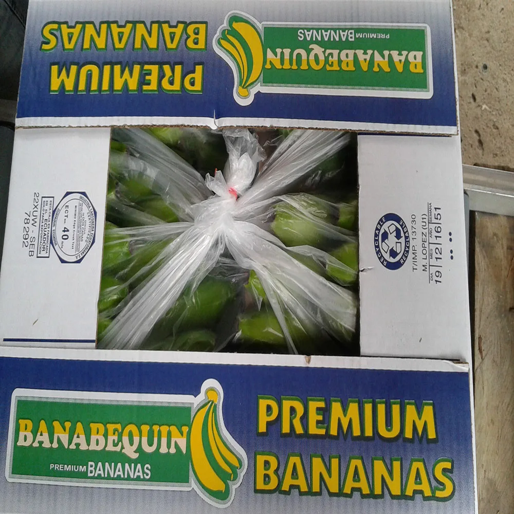 
BANANAS FRESH PREMIUM 