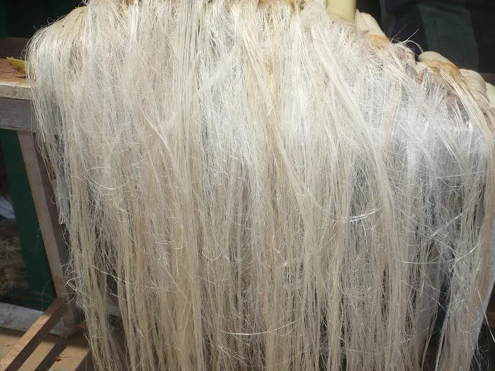 Natural Pineapple Fibre Made From Real Pineapple Suitable For Yarn And