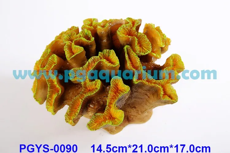 PGYS-0090.jpg
