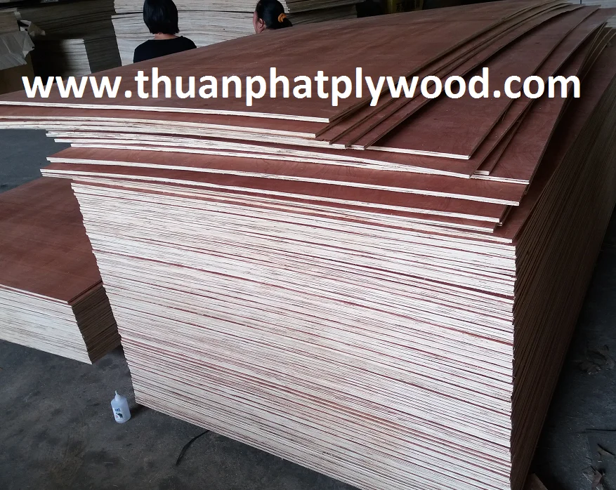 Plywood Factory 4x8' Mr/melamine Glue Bintangor Plywood Buy 4x8