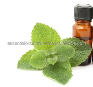 pure peppermint oil pure peppermint oil