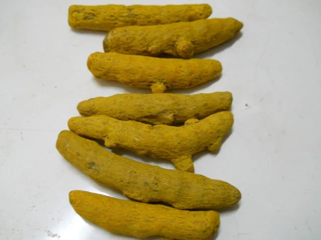 Turmeric 014.jpg