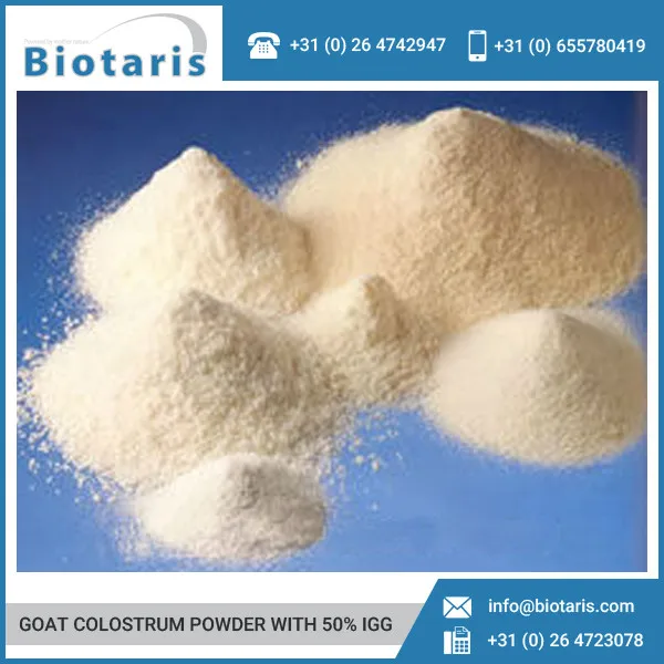
Premium Quality Goat Colostrum Powder at Nominal Rate 