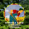 Moringa Farm Stay Moringa Farm Internship Program