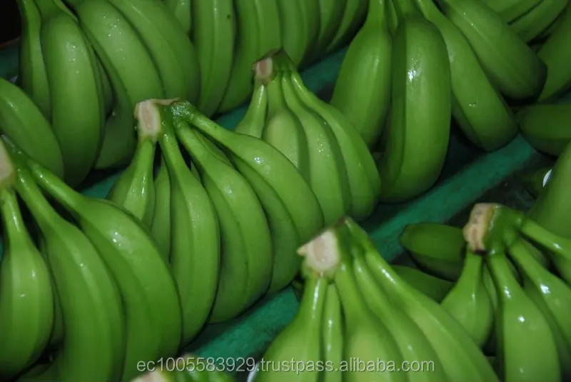 
Fresh Bananas Premium 