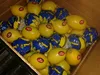 Farm Fresh lemons Adalia - Verna - green lim