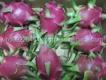 
Fresh Dragon Fruit Sweet Import From Vietnam - High Quality White/Red Dragon Fruit - Fresh and Sweet Dragon Fruit 