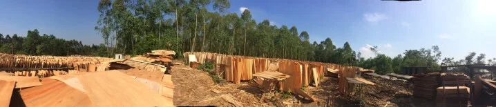 
Natural Figured Dried Excellent Eucalyptus Core Veneer for Furniture 