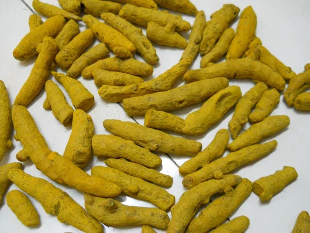 Turmeric 013.jpg