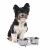 Ski Group Of Stainless Steel Pet Double Diner pet Bowls