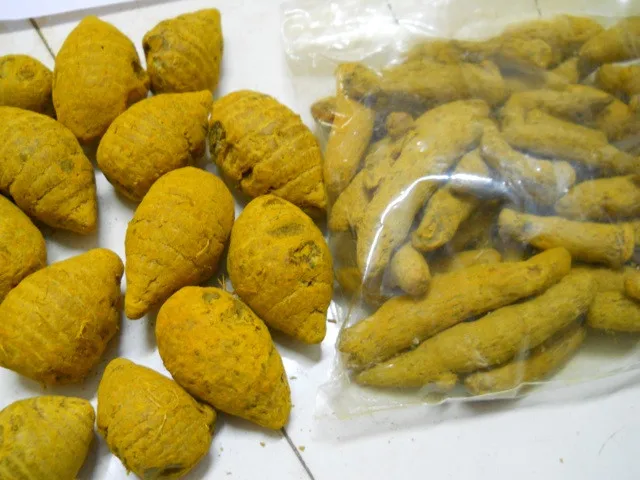 Turmeric 071.jpg