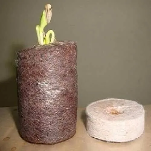 Coir Plugs 2.jpeg