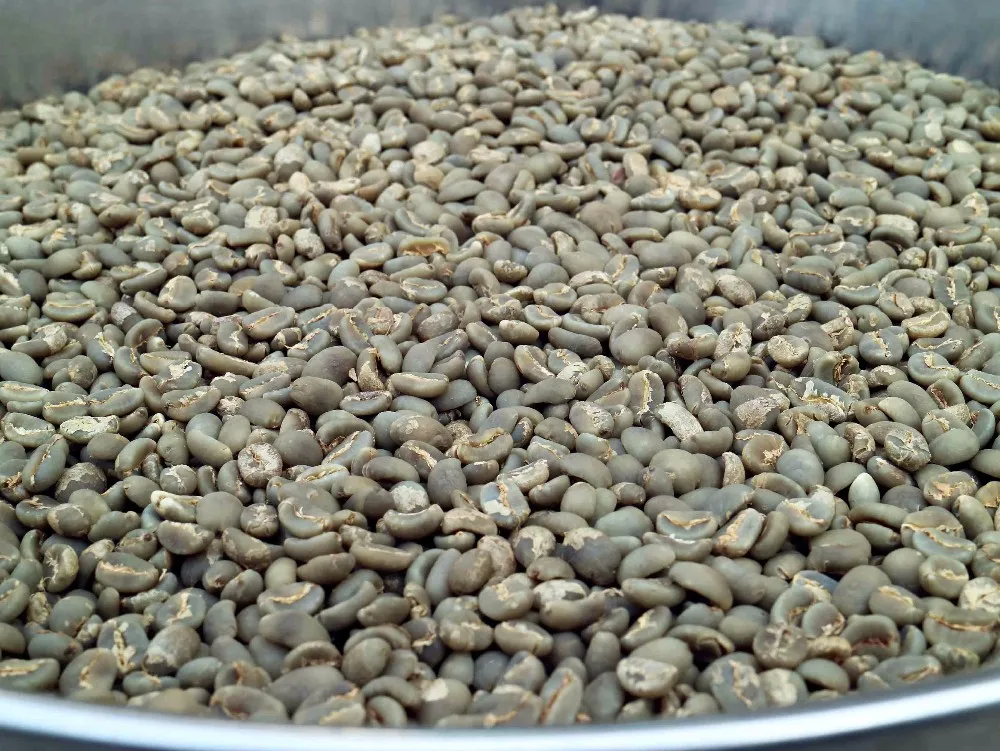 Arabica Raw Coffee Beans - Buy Bulk Coffee Beans ...