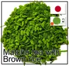/product-detail/japanese-healthy-and-fragrant-brown-rice-matcha-tea-in-oem-bag-or-can-50025587685.html