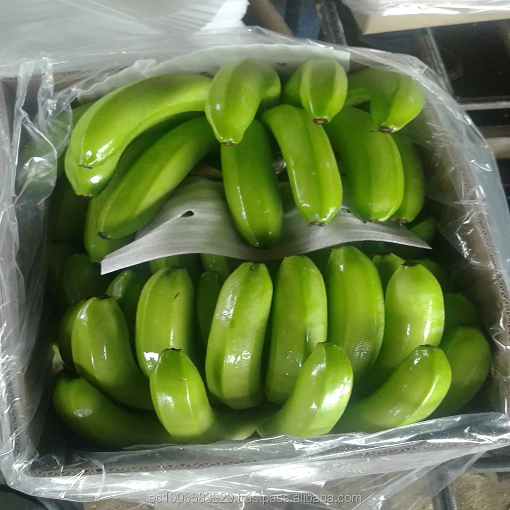
GREEN AND FRESH BANANAS 