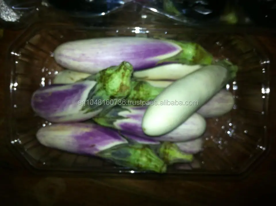
Fresh Style Eggplant (Arros Black and white) 