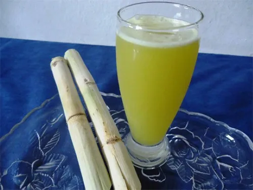 sugar cane with competitive price - premium quality - top sale