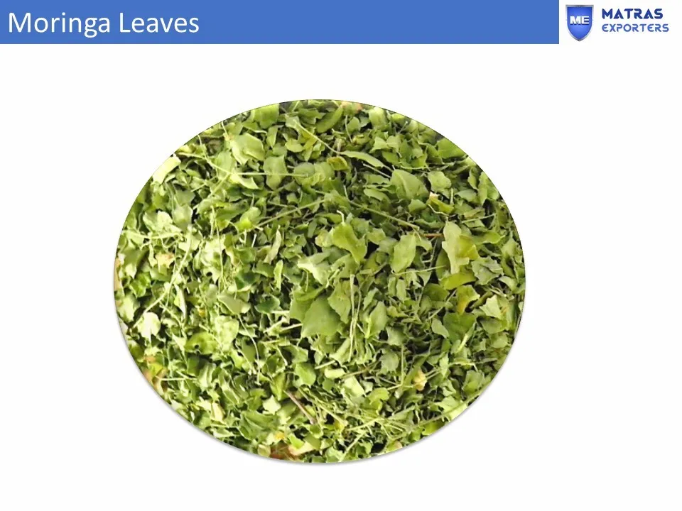 moringa powder| united states moringa powder suppliers