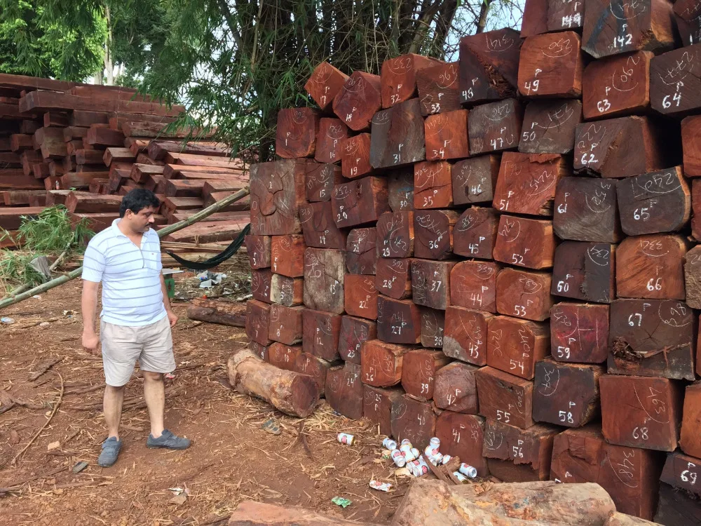 High quality of pyinkado made from natural forest wood