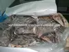 SEAFROZEN GREENLAND HALIBUT HEADS