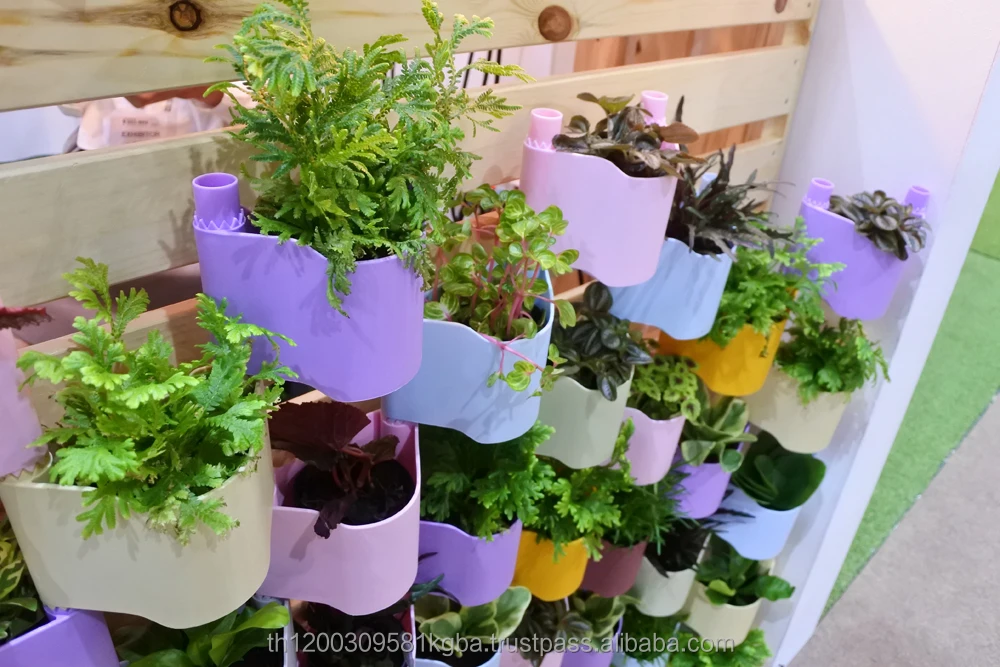 Colorful Square Indoor Outdoor Plants Decorative Garden Indoor Outdoor Plants Decorative Garden