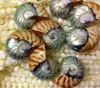 /product-detail/unique-beads-shell-50018590250.html