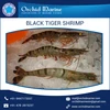 Good Quality Highly Demanded Black Tiger Shrimps Prawn at Low Price