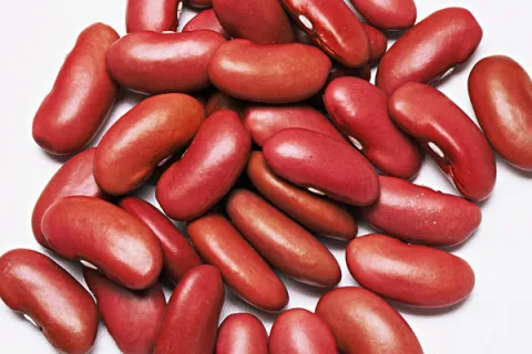 Image result for kidney beans