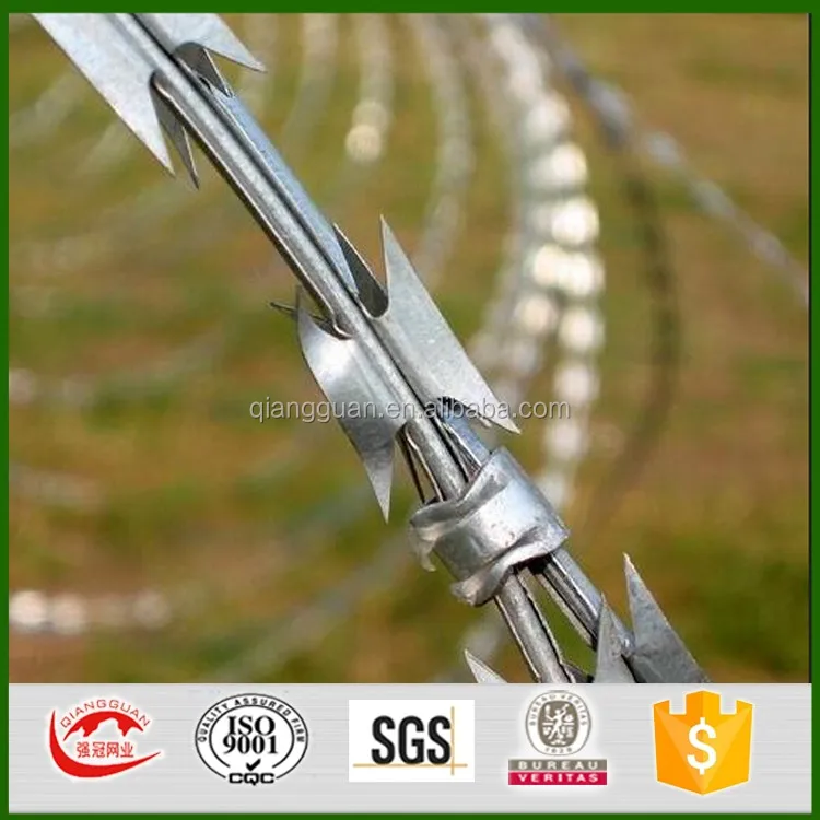 Concertina Wire Bto22 Concertina Wire Bto22 Bto28 900mm Razor Wire Single Concertina Barbed Wire