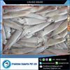 Unique Taste Highly Demanded Whole Round Squid from Reliable Trader