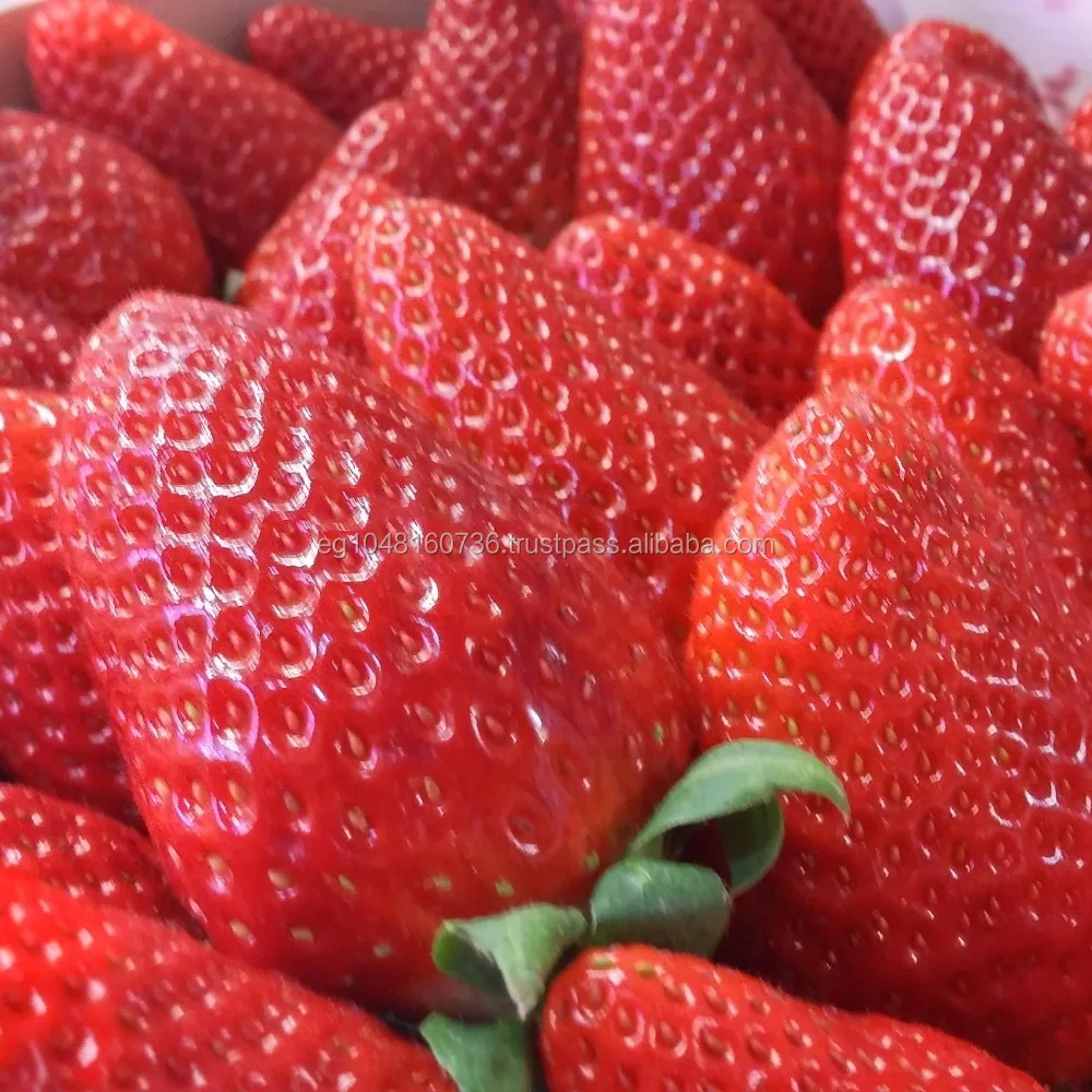 
Fresh Festival Strawberry From Egypt  (50026825792)