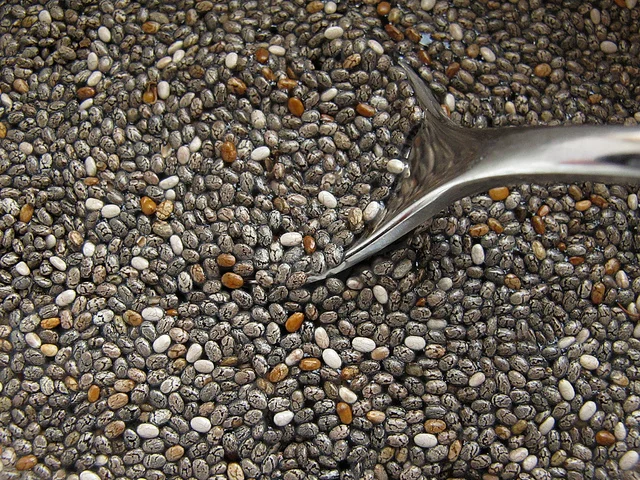 Image result for images of chia seeds