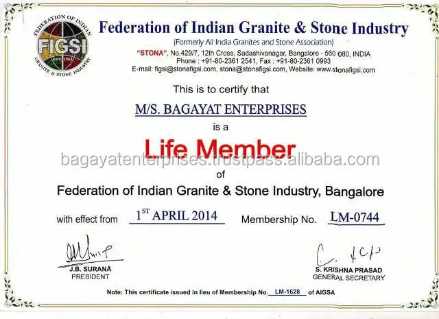 FIGSI Life Member Certificate - Bagayat