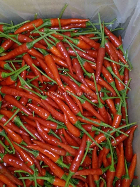 red chilli pepper