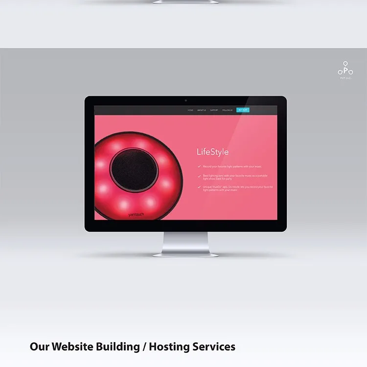 PIP-Website-Service-3.jpg
