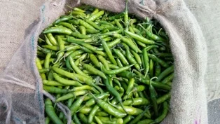 Aqua Power+_20150918_135328