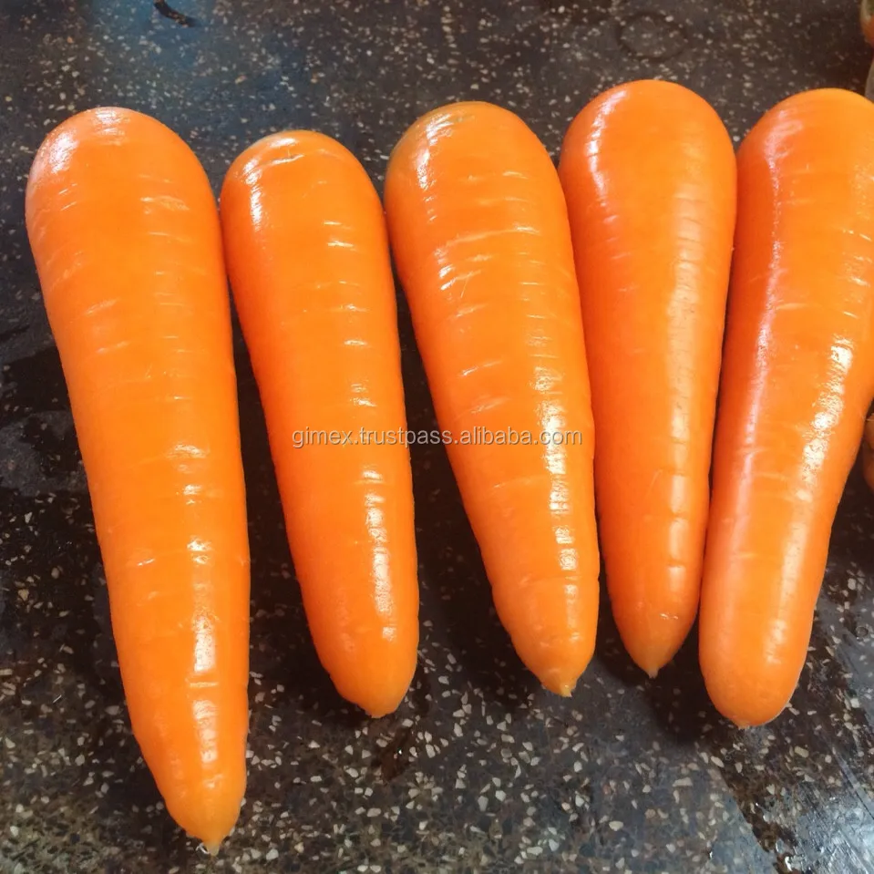 
Fresh Carrot SIZE S,M,L,2L,3L / Whatsapp  84963818434 