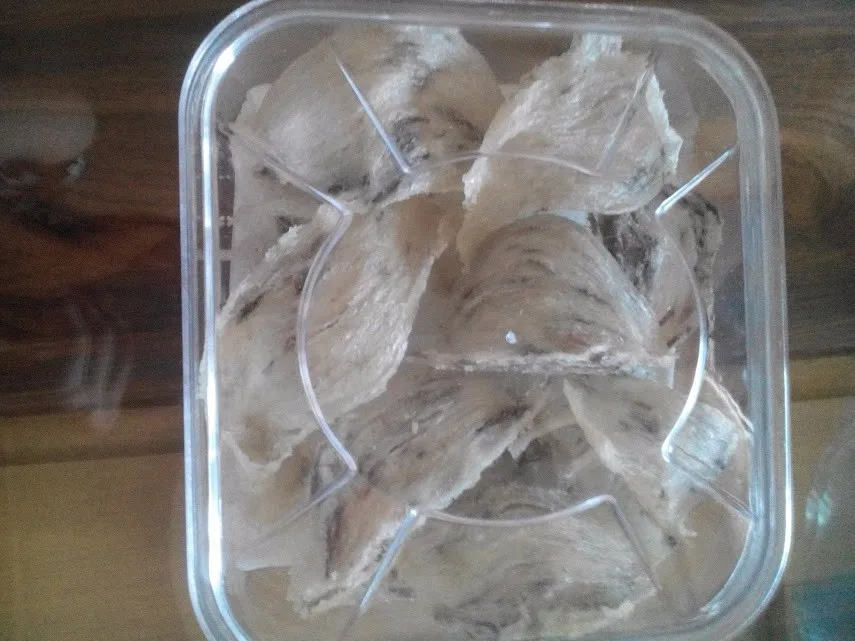 Bird Nest Export Standard Price For Sale High Quality With Best Price