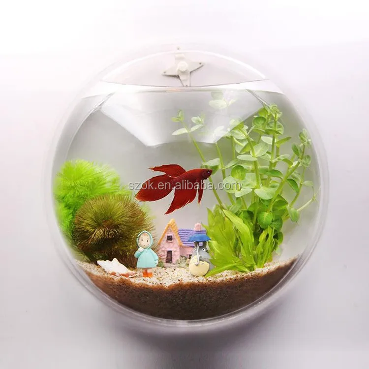 acrylic fish tank.jpg