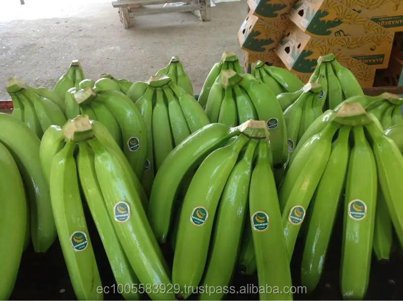 
Fresh Bananas Premium 