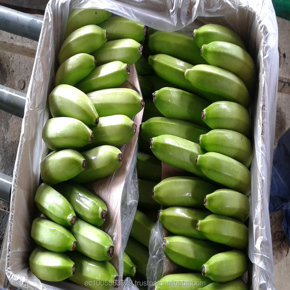 
Fresh Bananas Premium 