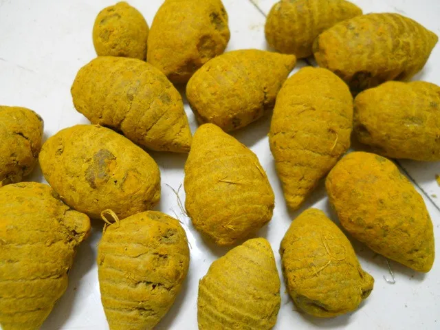 Turmeric 068 - Copy.jpg