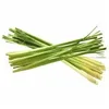 LEMON GRASS - AROMATIC GRASS