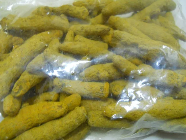 Turmeric 070.jpg