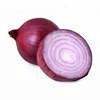 Onion Supplier In India / Onions Fresh / Fresh Onion Prices In India