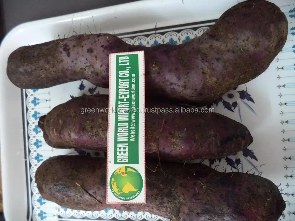 Premium Quality Fresh Purple Yam With Competitive Price For New Crop