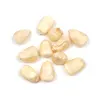 white and yellow maize