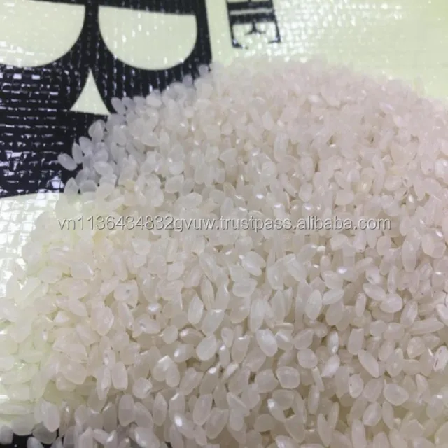 JAPONICA 2% BROKEN 70.jpg